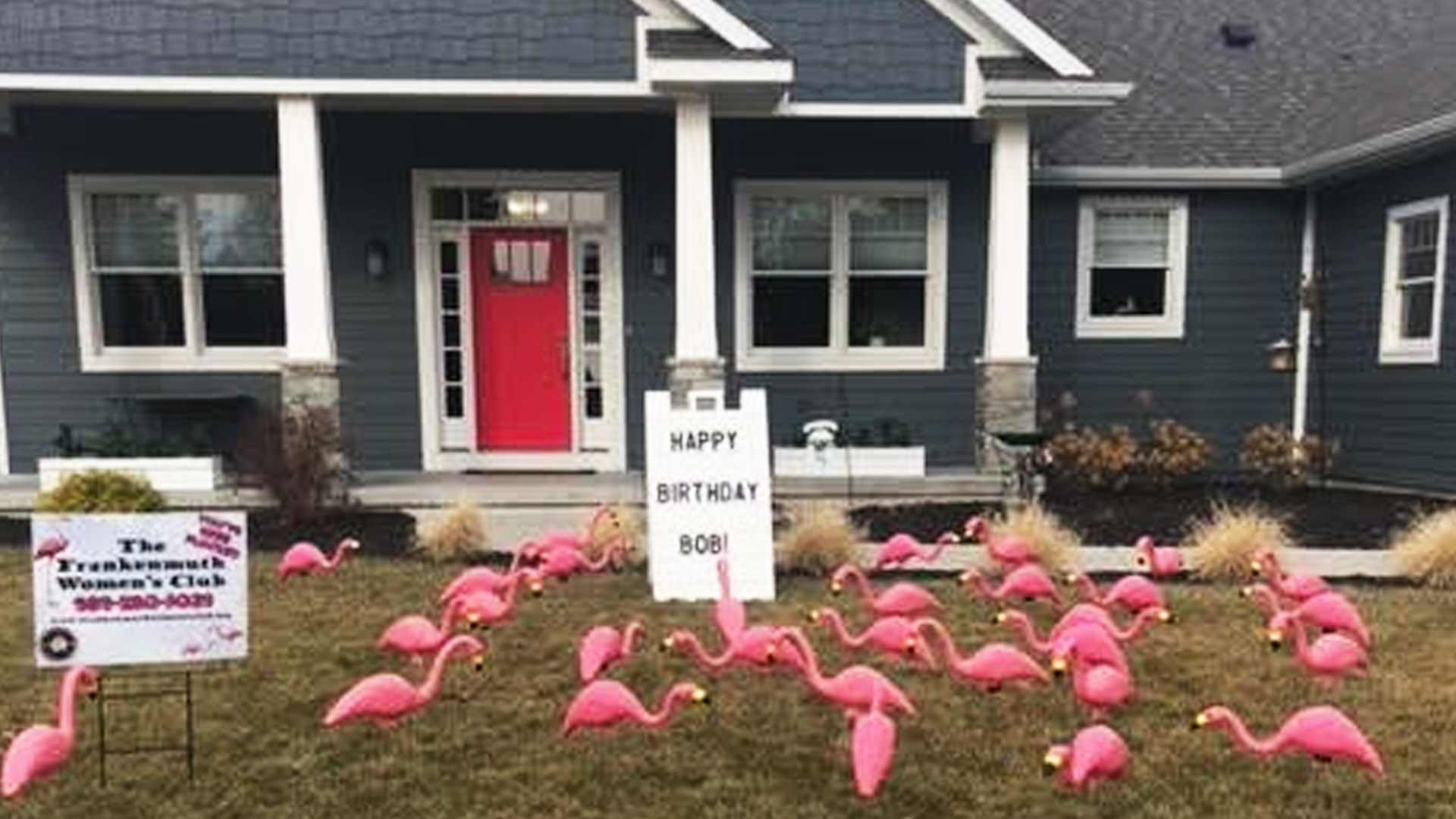 Flamingo Flocking Fun Frankenmuth Women S Club